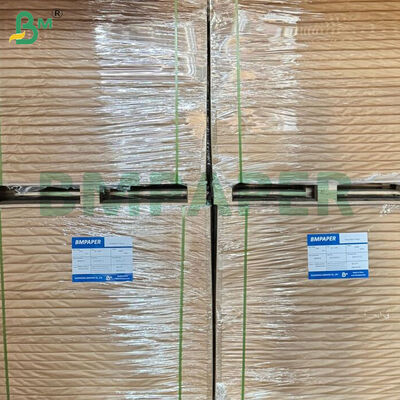 350 gm+10 gm di fogli di carta per piatti e piatti con rivestimento in PE