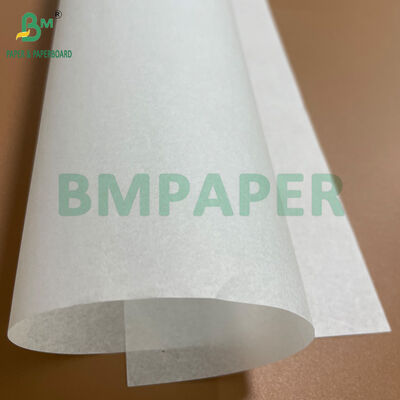 Bobine di carta per alimenti candeggiate 33gsm 35gsm 38gsm oleate per lo spostamento dei panini
