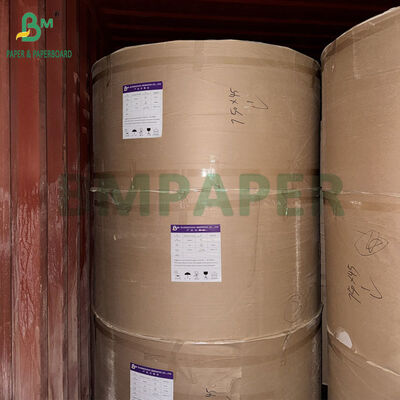 230 gm 240 gm + 20 PE Tavola bianca a prova di grasso per ciotole 70 x 100 cm