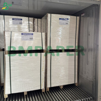 Cartone di cellulosa assorbente non rivestito per sottobicchieri, tonalità bianco crema pulita