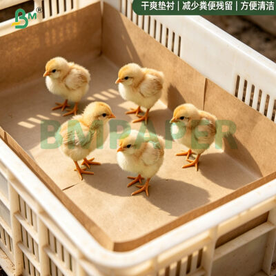 75 grammi di carta da pollo marrone 100% di carta da letto per pollame biodegradabile riciclata per incubatore