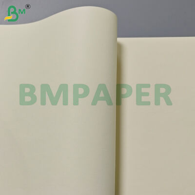 80gm Crema Libro a colori Rulli di carta 715mm Larghezza per la stampa