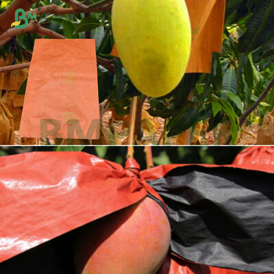 Rivestimento esterno di cera rossa con ombra più resistente Carta per sacchetti di frutta per uso esterno