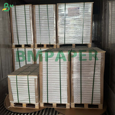 150 gm 160 gm Carta semitranslucente per inviti resistente alle lacrime A0 A1