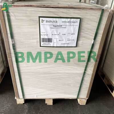 Single Sided Water Base Coated Cupstock Plastic Free 170-320g White