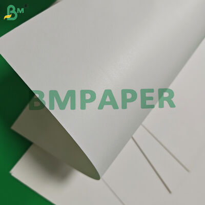 Carta per bicchieri monostrato patinata da 170 g/m² 190 g/m² compostabile 650 mm