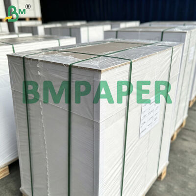 190g 230g 250g Carta rivestita in cartone d'avorio (C1S), 65cmx86cm Carta da stampa e imballaggio