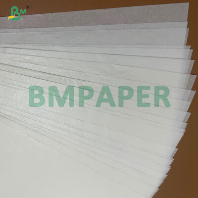 Food Grade 35gsm 38gsm 40gsm Silicone Baking Paper Easy to Peel Off for Cookies