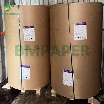 Food Grade 35gsm 38gsm 40gsm Silicone Baking Paper Easy to Peel Off for Cookies