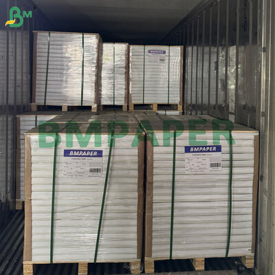 75g CB CFB CF Carta Continua Carbonless 3 veli per Ricevuta di Consegna A4