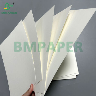 Carta per tazze da 230 g/m² con rivestimento in PE per tazze da caffè 66 x 96 cm