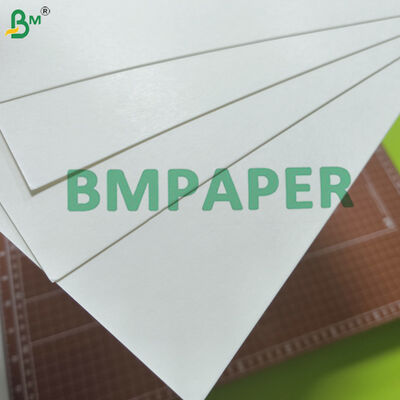 Carta base assorbente da 0,4 mm - 2 mm per rivestimenti di tappi di bottiglia, PE su un lato