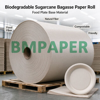 Rotolo di carta in bagassa biodegradabile da 80g-300g per la produzione di piatti per alimenti