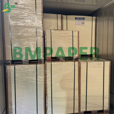 Rotolo di carta in bagassa biodegradabile da 80g-300g per la produzione di piatti per alimenti