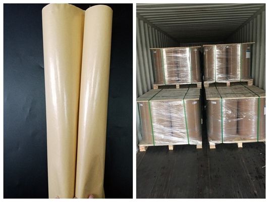 Un PE laterale ha ricoperto il rotolo della carta del commestibile per la scatola di pranzo FSC & FDA ha certificato