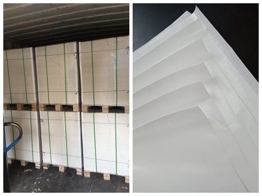 Un PE laterale ha ricoperto il rotolo della carta del commestibile per la scatola di pranzo FSC & FDA ha certificato