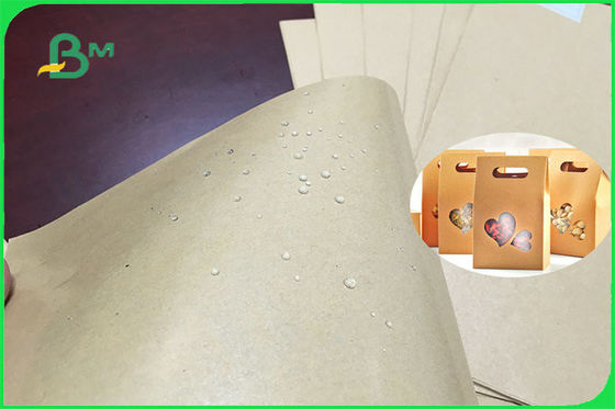 lato singolo o doppio dello strato della carta patinata del PE di 300gsm 350gsm per la piastrina FSC FDA