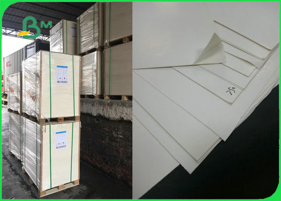 il lato di 270gsm 280gsm uno ha ricoperto il certificato del FSC del foglio dell'avorio di FBB GC1