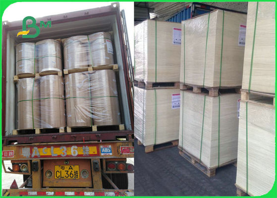 FDA FSC ha certificato la carta termoresistente sicura di cottura dell'alimento per la griglia che cucina il BBQ