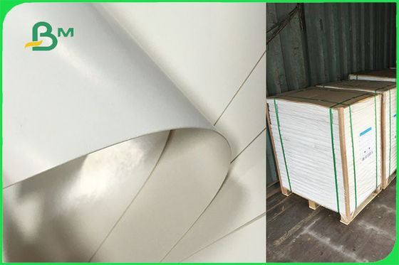 Carta patinata su misura del singolo PE laterale per le piastrine eliminabili FSC approvate dalla FDA