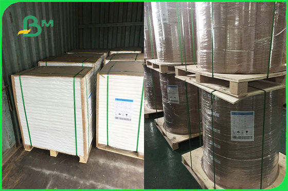 Carta patinata su misura del singolo PE laterale per le piastrine eliminabili FSC approvate dalla FDA