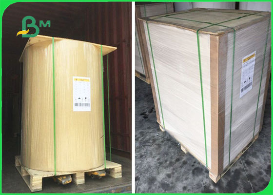 Il FSC ha certificato la carta kraft del retro in strati un × laterale 40" di bianco 32