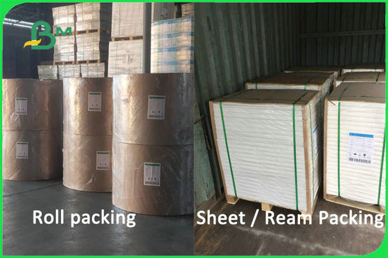 Materiale non rivestito biodegradabile 170 della tazza di carta della polpa vergine di 100% - 300gsm FDA FSC