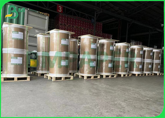 cartone anti- di Libro Bianco del congelatore 240gsm un bordo rivestito dell'alimento del lato