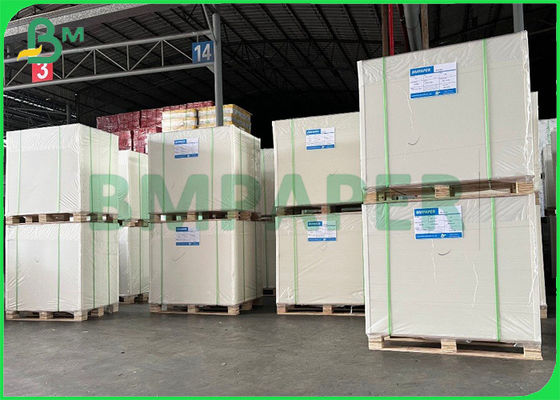 cartone anti- di Libro Bianco del congelatore 240gsm un bordo rivestito dell'alimento del lato