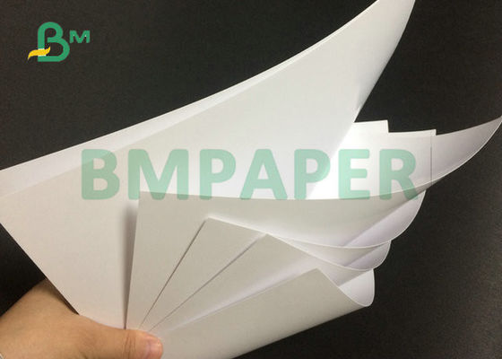 Libro Bianco super del testo lucido rivestito su due lati di 80# 100# in strato 23" x 35"