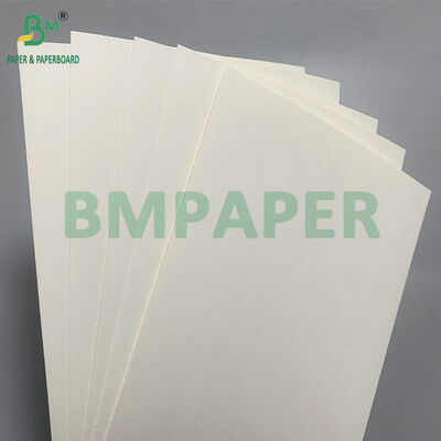 Cartone biodegradabile e sicuro per microonde per la fabbricazione di ciotole usa e getta per l'insalata