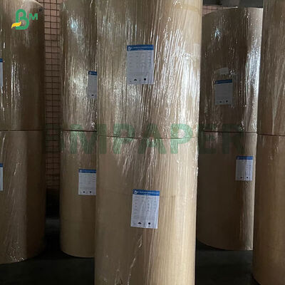 Carta termica semiglossosa autoadesiva da 70 grammi 640 mm 690 mm