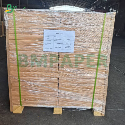 300 g di carta nera a doppio lato rivestita