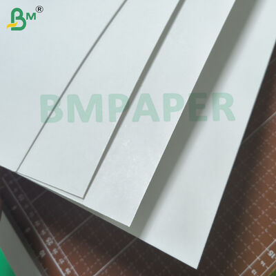 14 - Cartoncino patinato da 32pt C1S per blister Bianco alta