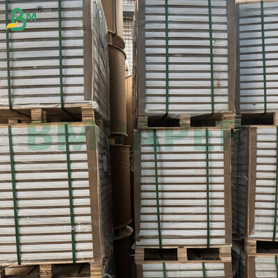 Fogli di Carta Lucida C2S Double Side 787mm*1092mm per Riviste