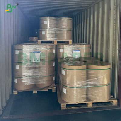 Carta Kraft Sbiancata ad Alta Resistenza da 80 g/m² per Confezioni Regalo e Artigianali