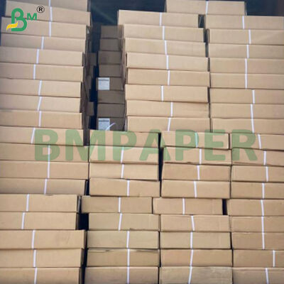 80gsm CAD Plotter Paper Rolls 2