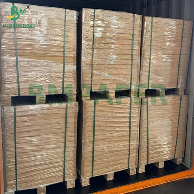 Classificazione alimentare 35gm 38gm 40gm Carta da forno in silicone facile da pelare per i biscotti