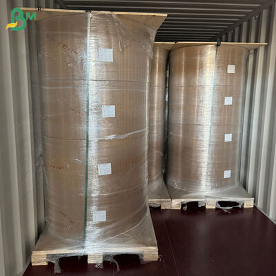 50 grammi + 10 grammi di rivestimento in PE Kraft Liner marrone per avvolgimento di paglia 80 cm 90 cm