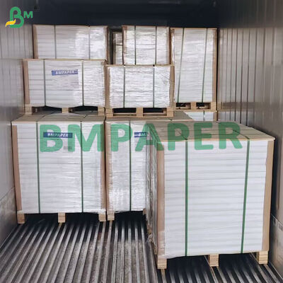 Carta per hamburger cerata da 23g 30g, antiaderente, 700 x 1000 mm