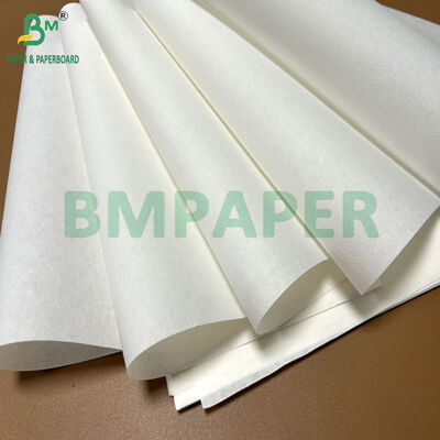 Carta filtro caffè bianca da 51 g/m² per macchina da caffè a goccia FETCO CBS2130 340 mm