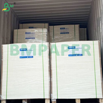 350 gm+15 gm PE rivestito con vaschette di carta per contenitori alimentari