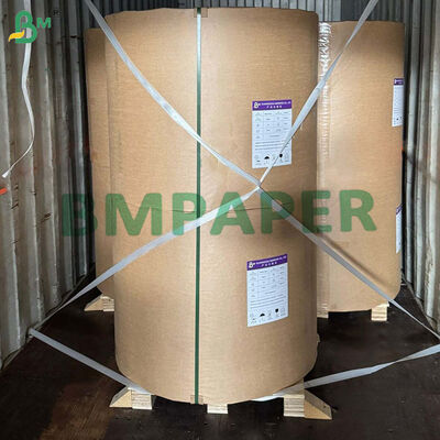 230 g di carta di canna da zucchero riciclabile compostabile per piastre usa e getta 1000 mm